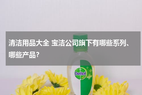 清洁用品大全 宝洁公司旗下有哪些系列、哪些产品？