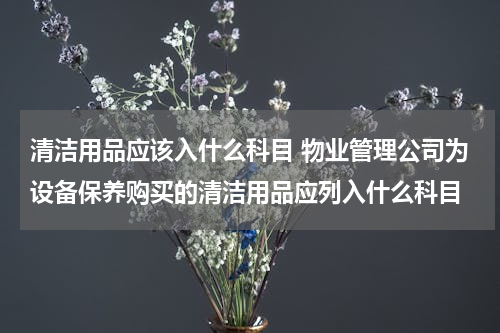 清洁用品应该入什么科目 物业管理公司为设备保养购买的清洁用品应列入什么科目