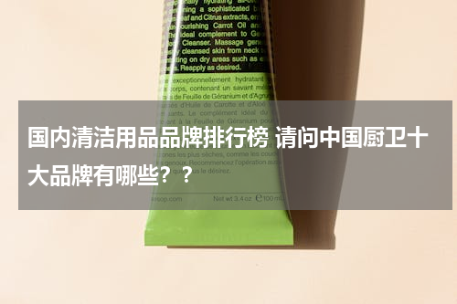 国内清洁用品品牌排行榜 请问中国厨卫十大品牌有哪些？？