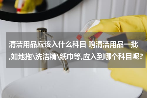 清洁用品应该入什么科目 购清洁用品一批,如地拖\洗洁精\纸巾等,应入到哪个科目呢?