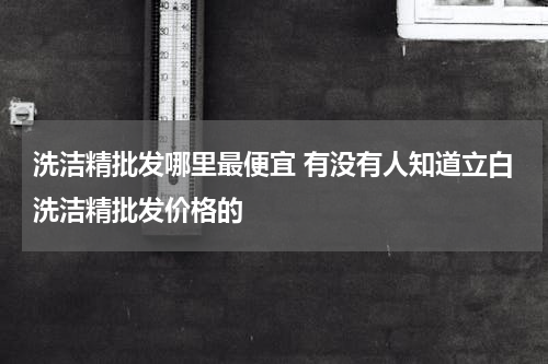 洗洁精批发哪里最便宜 有没有人知道立白洗洁精批发价格的