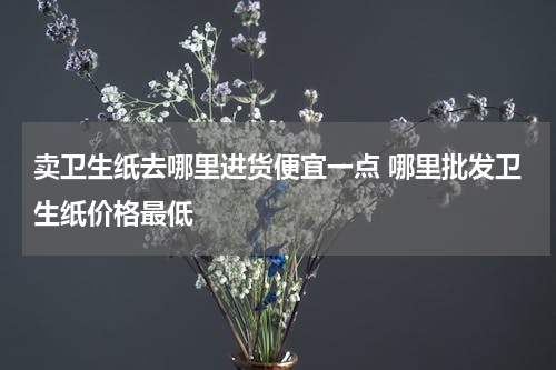 卖卫生纸去哪里进货便宜一点 哪里批发卫生纸价格最低