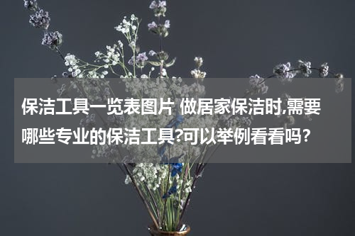 保洁工具一览表图片 做居家保洁时,需要哪些专业的保洁工具?可以举例看看吗？