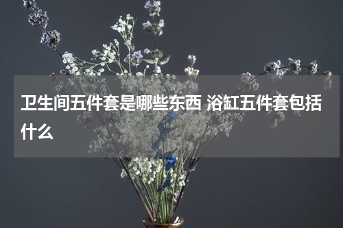 卫生间五件套是哪些东西 浴缸五件套包括什么