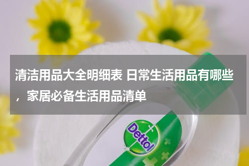清洁用品大全明细表 日常生活用品有哪些，家居必备生活用品清单