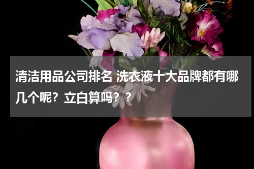 清洁用品公司排名 洗衣液十大品牌都有哪几个呢？立白算吗？？