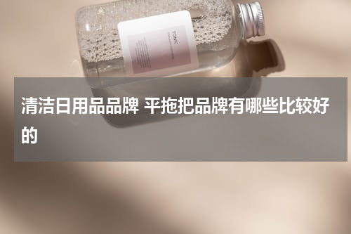 清洁日用品品牌 平拖把品牌有哪些比较好的