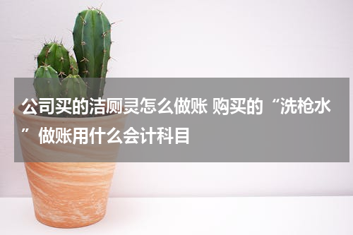 公司买的洁厕灵怎么做账 购买的“洗枪水”做账用什么会计科目