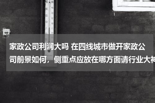 家政公司利润大吗 在四线城市做开家政公司前景如何，侧重点应放在哪方面请行业大神指点下，