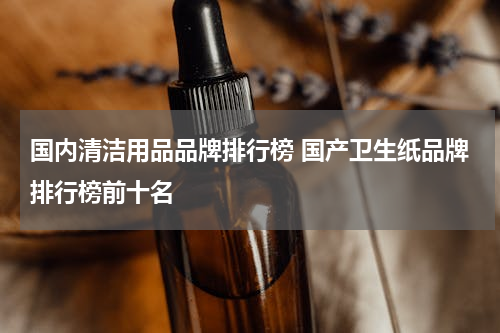 国内清洁用品品牌排行榜 国产卫生纸品牌排行榜前十名