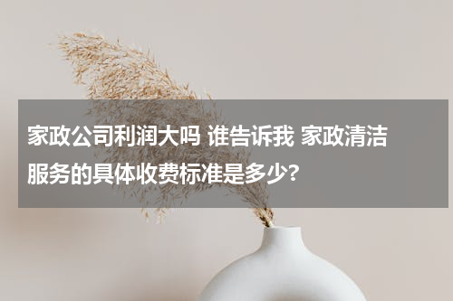 家政公司利润大吗 谁告诉我 家政清洁 服务的具体收费标准是多少?