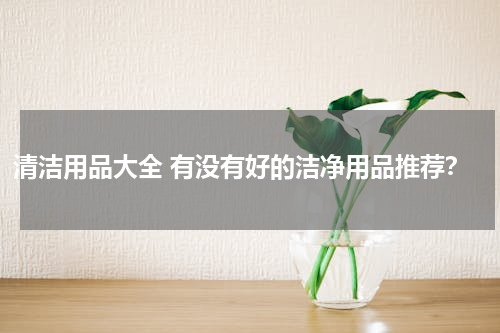 清洁用品大全 有没有好的洁净用品推荐？