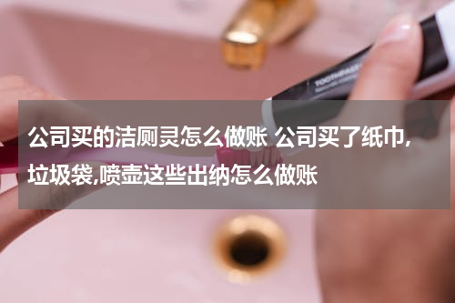 公司买的洁厕灵怎么做账 公司买了纸巾,垃圾袋,喷壶这些出纳怎么做账