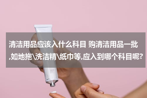 清洁用品应该入什么科目 购清洁用品一批,如地拖\洗洁精\纸巾等,应入到哪个科目呢?