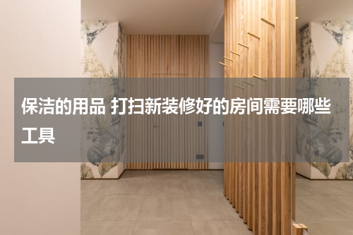 保洁的用品 打扫新装修好的房间需要哪些工具