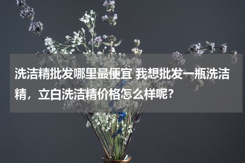 洗洁精批发哪里最便宜 我想批发一瓶洗洁精，立白洗洁精价格怎么样呢？