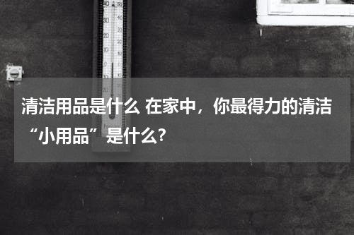 清洁用品是什么 在家中，你最得力的清洁“小用品”是什么？