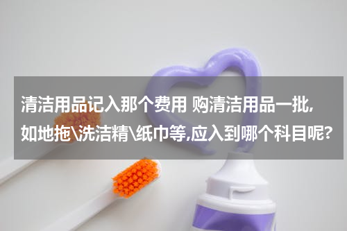 清洁用品记入那个费用 购清洁用品一批,如地拖\洗洁精\纸巾等,应入到哪个科目呢?