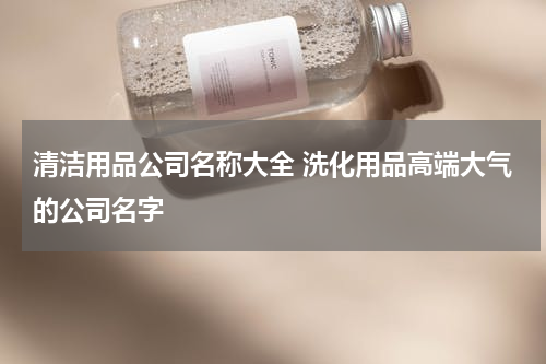 清洁用品公司名称大全 洗化用品高端大气的公司名字