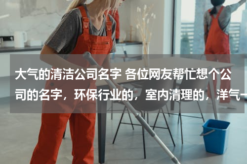 大气的清洁公司名字 各位网友帮忙想个公司的名字，环保行业的，室内清理的，洋气一点的，要10个。