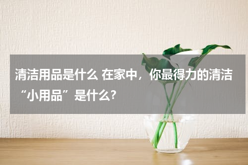 清洁用品是什么 在家中，你最得力的清洁“小用品”是什么？