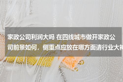 家政公司利润大吗 在四线城市做开家政公司前景如何，侧重点应放在哪方面请行业大神指点下，