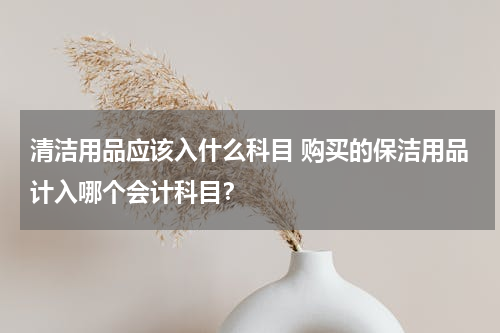清洁用品应该入什么科目 购买的保洁用品计入哪个会计科目？
