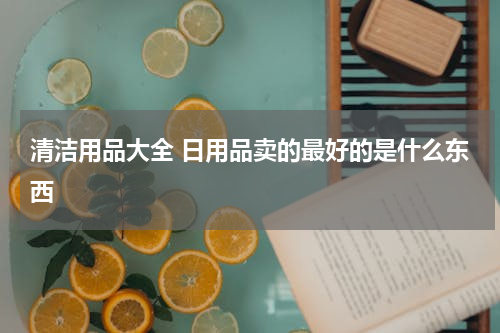 清洁用品大全 日用品卖的最好的是什么东西