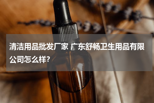 清洁用品批发厂家 广东舒畅卫生用品有限公司怎么样？