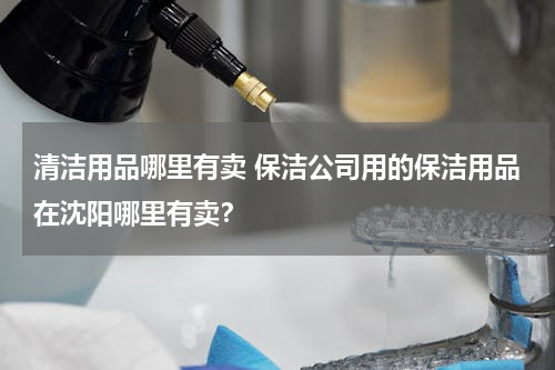 清洁用品哪里有卖 保洁公司用的保洁用品在沈阳哪里有卖？