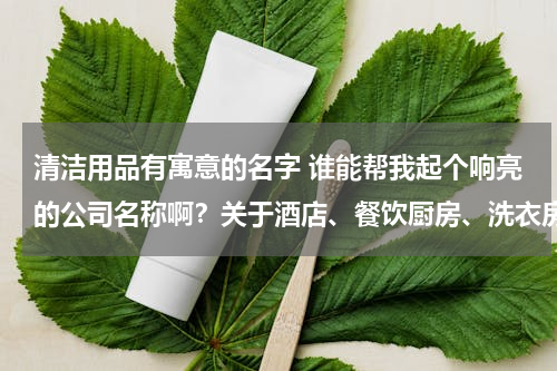 清洁用品有寓意的名字 谁能帮我起个响亮的公司名称啊？关于酒店、餐饮厨房、洗衣房的清洁用品。谢谢各位！