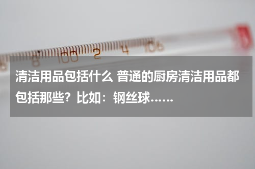 清洁用品包括什么 普通的厨房清洁用品都包括那些？比如：钢丝球……