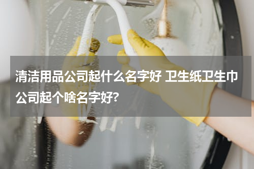清洁用品公司起什么名字好 卫生纸卫生巾公司起个啥名字好?