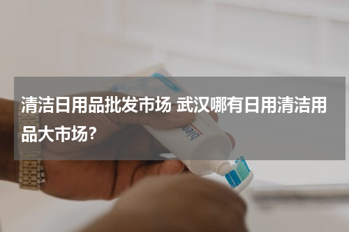 清洁日用品批发市场 武汉哪有日用清洁用品大市场？