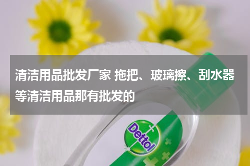 清洁用品批发厂家 拖把、玻璃擦、刮水器等清洁用品那有批发的