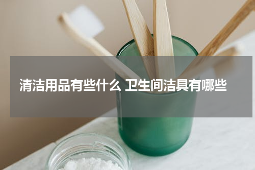 清洁用品有些什么 卫生间洁具有哪些