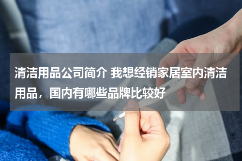 清洁用品公司简介 我想经销家居室内清洁用品，国内有哪些品牌比较好