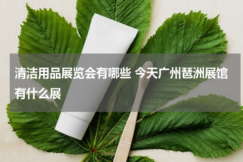 清洁用品展览会有哪些 今天广州琶洲展馆有什么展