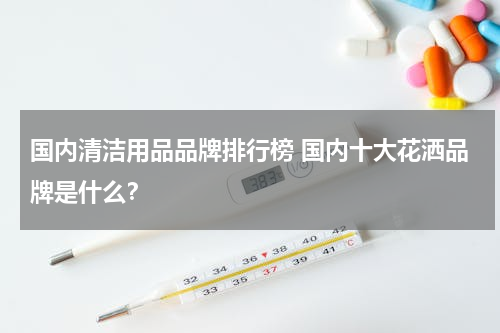 国内清洁用品品牌排行榜 国内十大花洒品牌是什么？