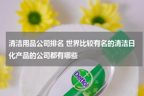 清洁用品公司排名 世界比较有名的清洁日化产品的公司都有哪些
