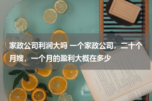 家政公司利润大吗 一个家政公司，二十个月嫂，一个月的盈利大概在多少