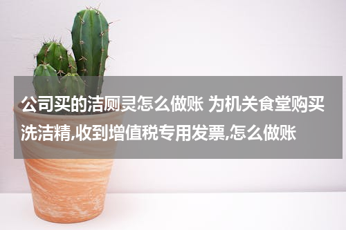 公司买的洁厕灵怎么做账 为机关食堂购买洗洁精,收到增值税专用发票,怎么做账