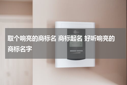 取个响亮的商标名 商标起名 好听响亮的商标名字