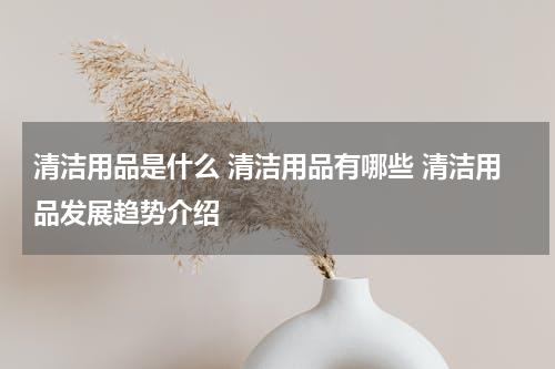 清洁用品是什么 清洁用品有哪些 清洁用品发展趋势介绍
