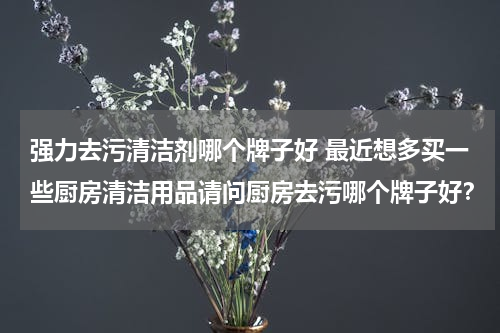 强力去污清洁剂哪个牌子好 最近想多买一些厨房清洁用品请问厨房去污哪个牌子好？