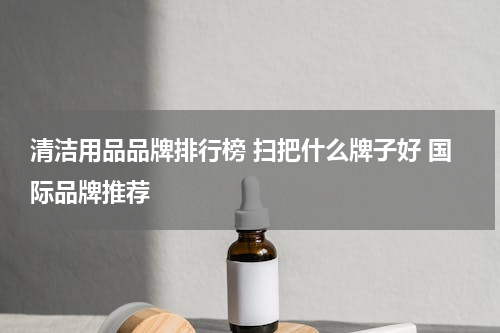 清洁用品品牌排行榜 扫把什么牌子好 国际品牌推荐