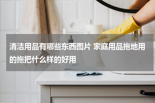 清洁用品有哪些东西图片 家庭用品拖地用的拖把什么样的好用