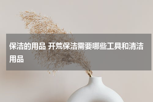 保洁的用品 开荒保洁需要哪些工具和清洁用品