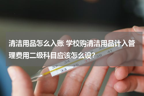 清洁用品怎么入账 学校购清洁用品计入管理费用二级科目应该怎么设？