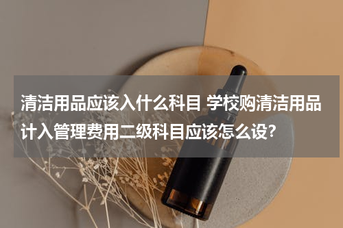 清洁用品应该入什么科目 学校购清洁用品计入管理费用二级科目应该怎么设？